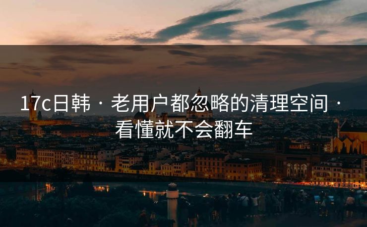 17c日韩 · 老用户都忽略的清理空间 · 看懂就不会翻车